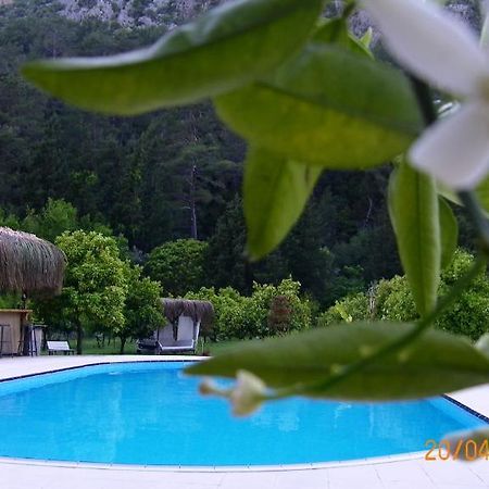 Portalimo Lodge Hotel - Adult Only +12 Çıralı エクステリア 写真